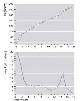 Severs Disease